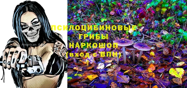 apvp Алексин
