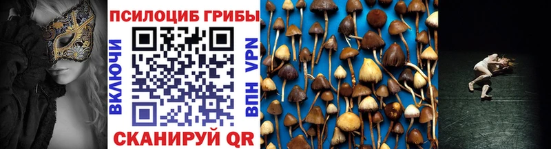 где найти Кукмор Псилоцибиновые грибы Cubensis