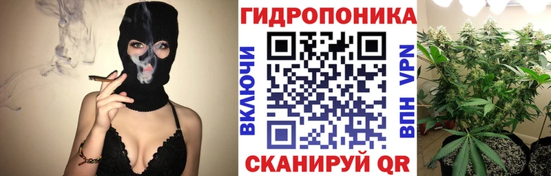 как найти закладки  Кукмор  Бошки марихуана тримм 